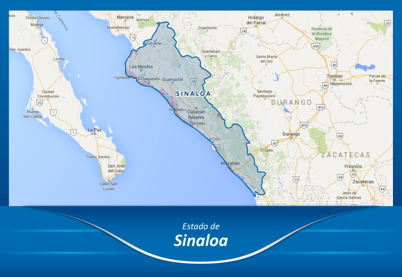 Mudanzas de la Ciudad de México a Sinaloa